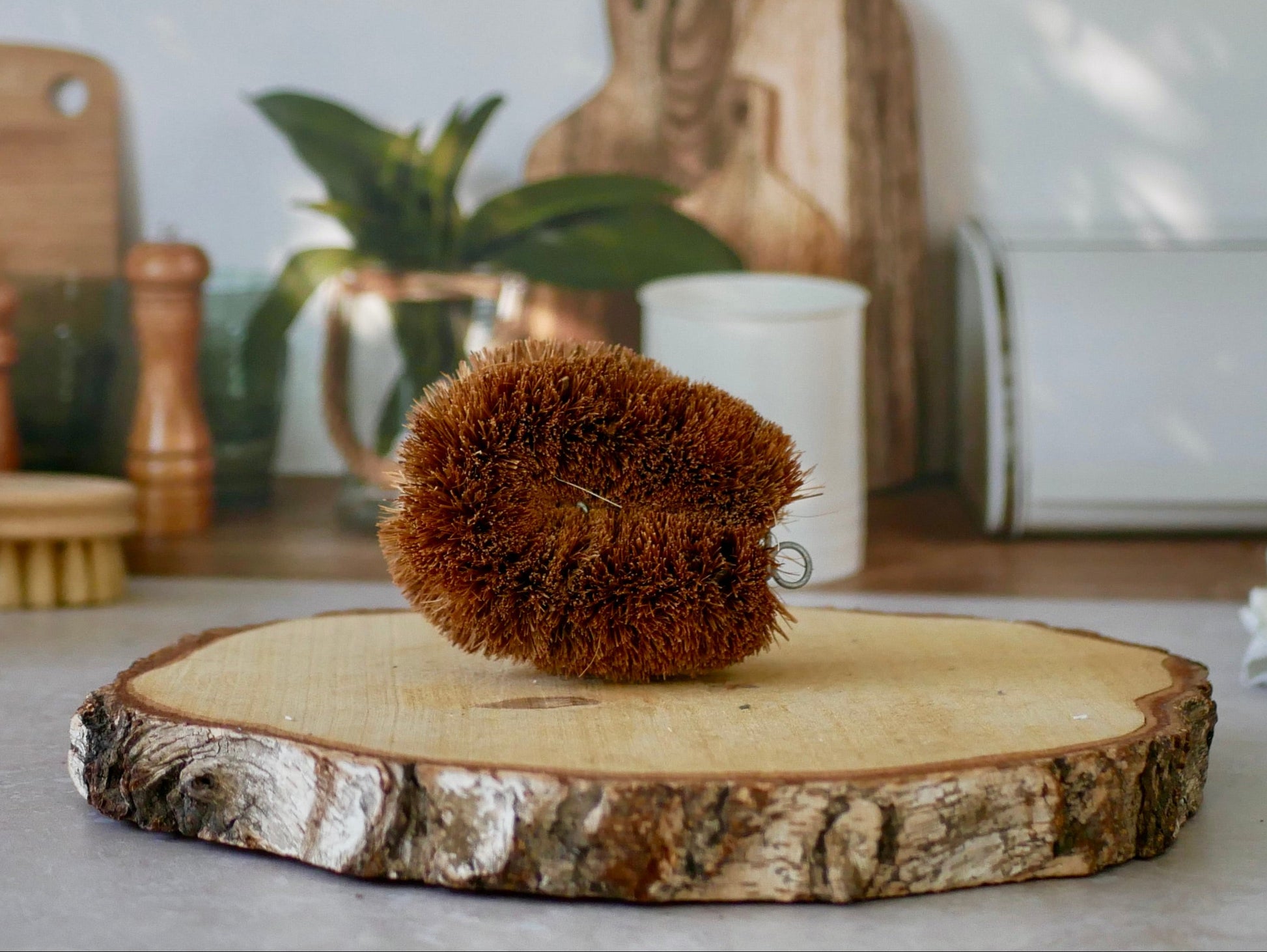 Brosse coco la droguerie ecologique