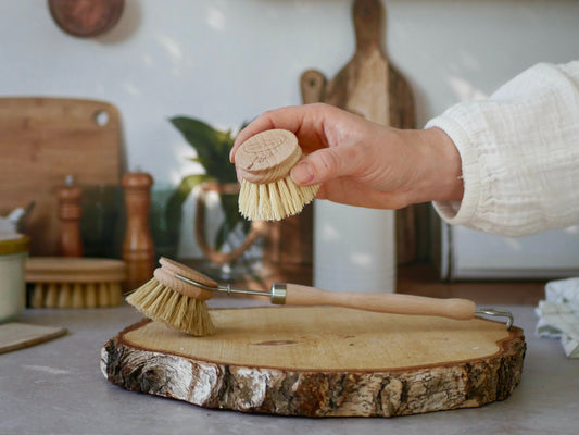 Recharge brosse vaisselle bois